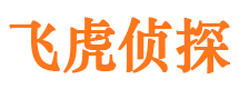 巫溪市调查公司